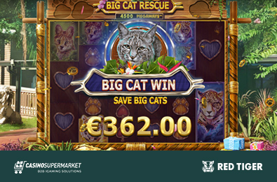 Big Cat Rescue Megaways — оригинальная новинка от Red Tiger