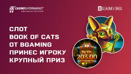 Серия побед в Book Of Cats: выигрыш $550 000