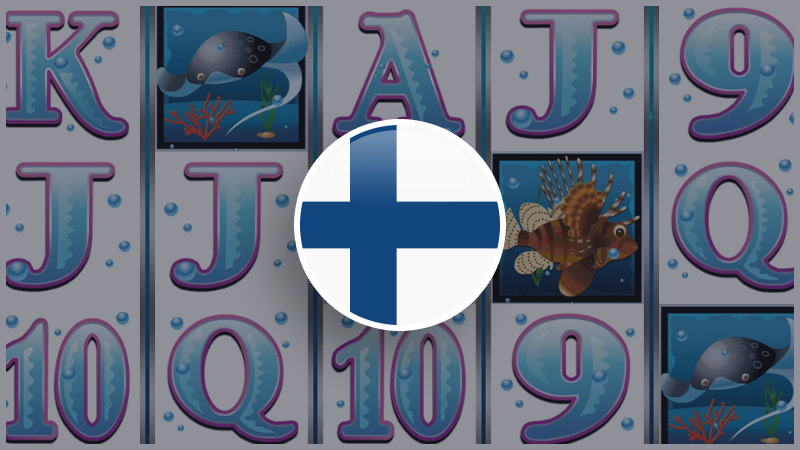 Ліцензування у Фінляндії Ліцензування у Фінляндії: вигоди запуску стартапу