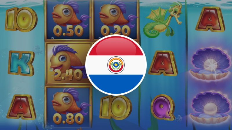Лицензирование онлайн казино в Парагвае Лицензирование онлайн казино в Парагвае: особенности рынка