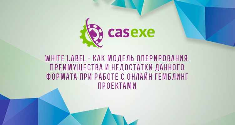 CASEXE: Формат работы White Label в онлайн-гемблинге