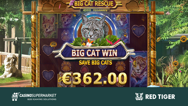 Big Cat Rescue Megaways от Red Tiger