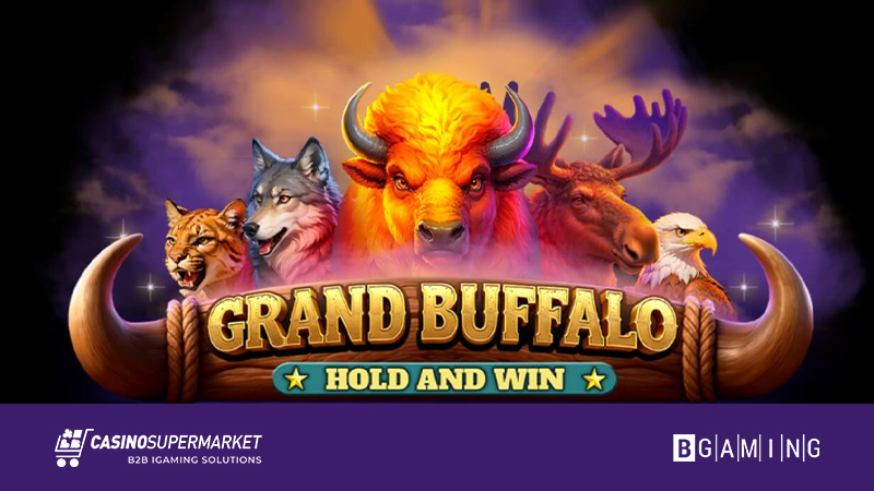 Grand Buffalo Hold and Win от BGaming