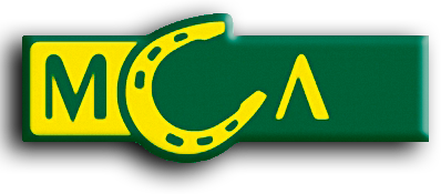 МСЛ лого