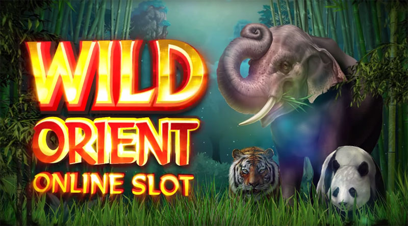 слот Wild Orient